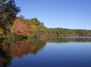 Lewis Bay | West Yarmouth